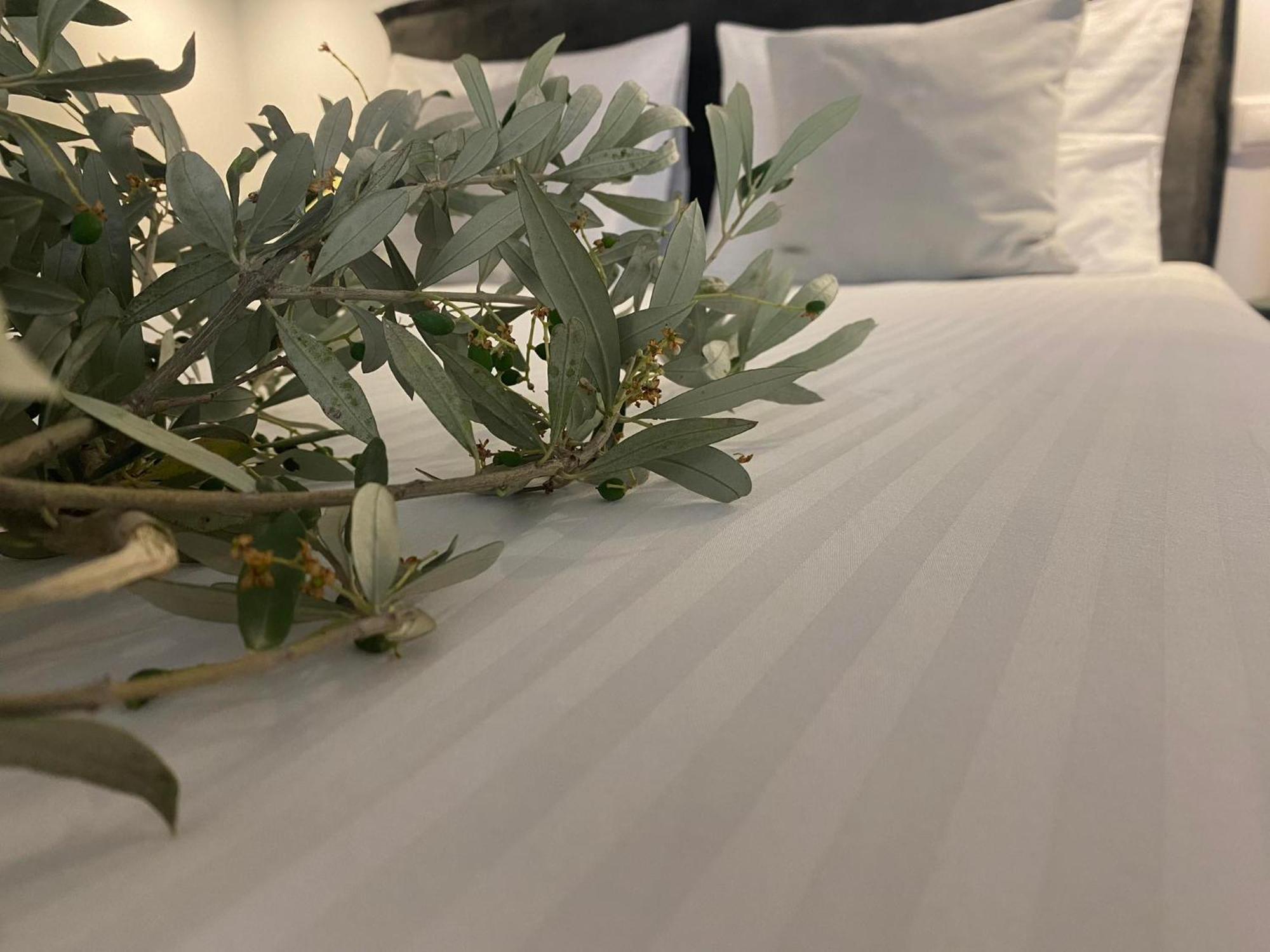 Oniropetra Luxury Suites Armakha Экстерьер фото